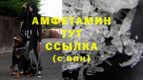 ECSTASY Покачи