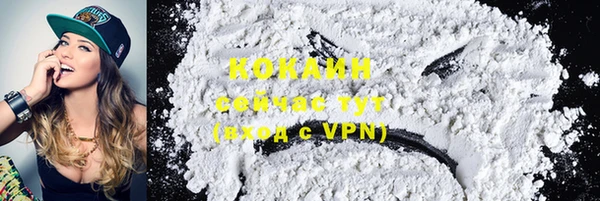 ECSTASY Покачи