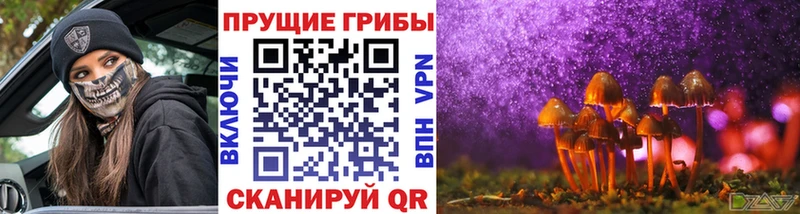 Галлюциногенные грибы мухоморы  Тогучин 